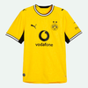 Borussia Dortmund