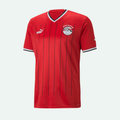 Egypt 22 Home Replica Jersey