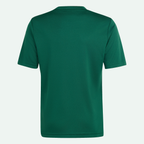 Mexico OLP Jersey