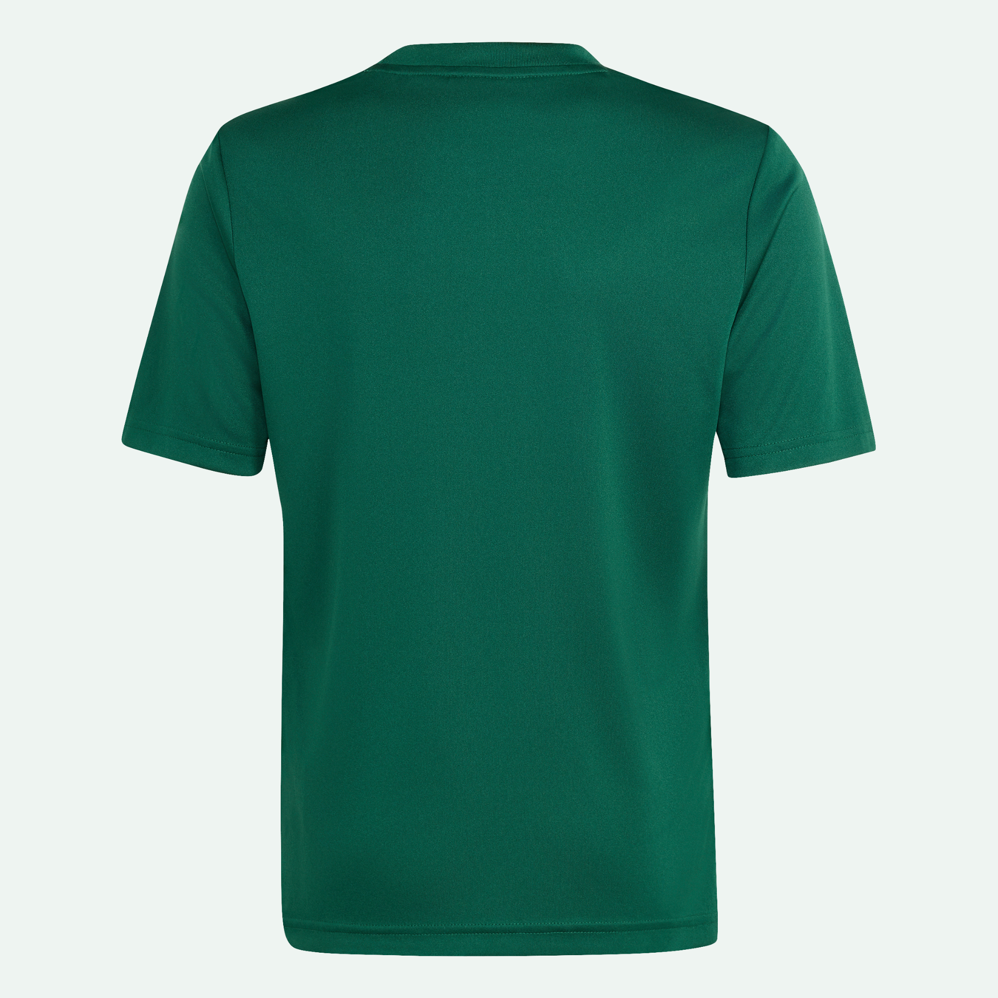 Mexico OLP Jersey