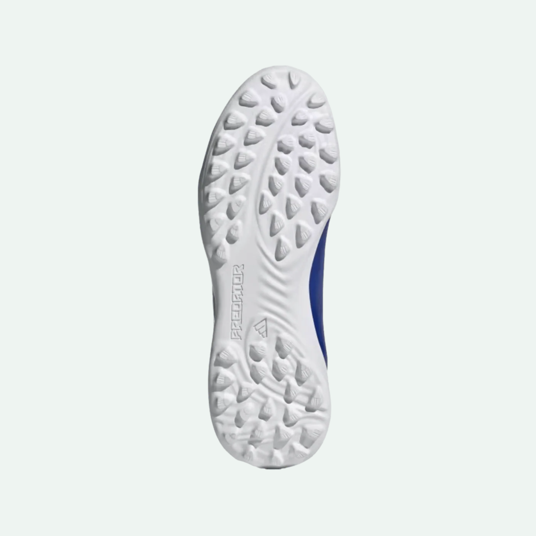Predator League LL TF (Kids)