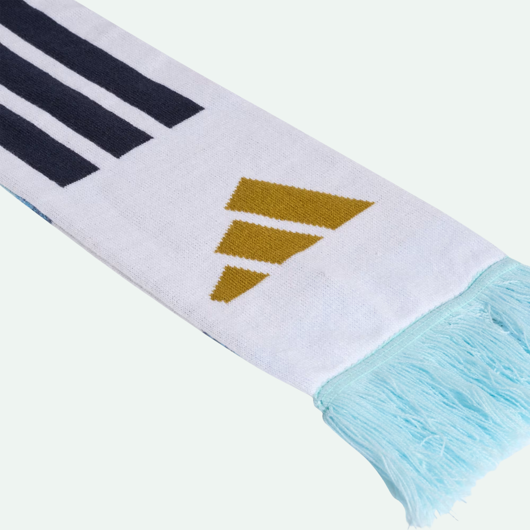 Argentina 26 Scarf