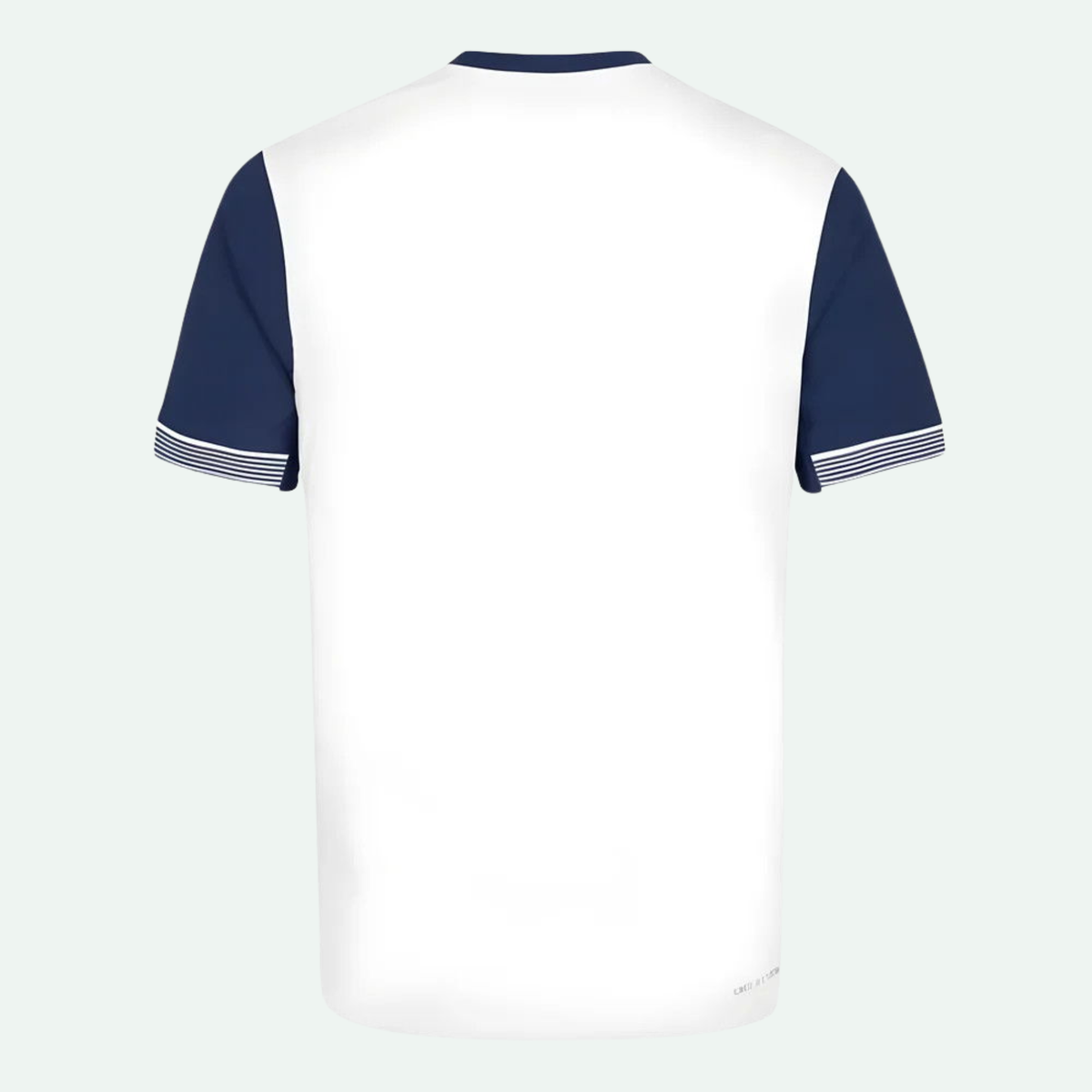 Tottenham Hotspur 24/25 Match Home Jersey