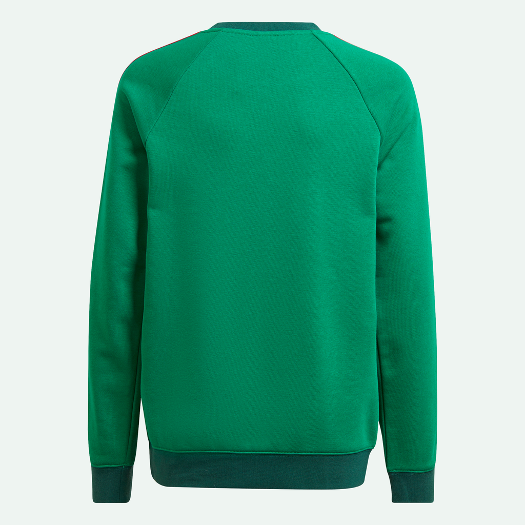 Mexico Kids Crewneck Sweatshirt