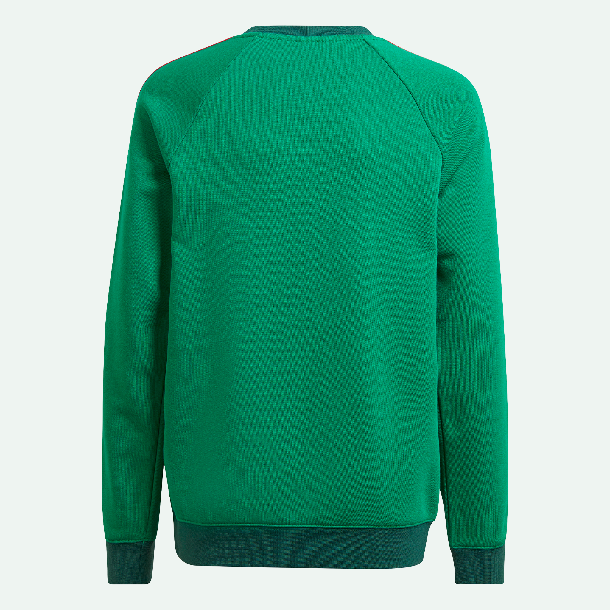 Mexico Kids Crewneck Sweatshirt