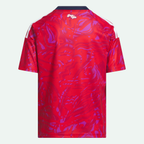 Costa Rica 26 Home Kids Jersey