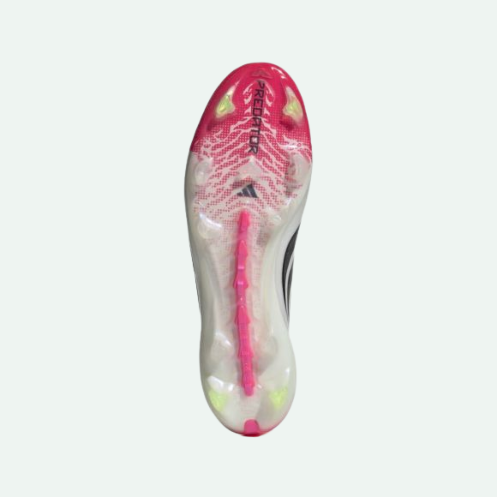 Predator Elite LL FG