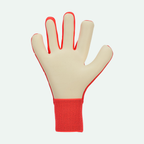 Dynamic Fit Goalkeeper Glove