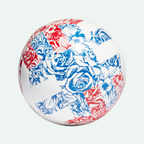 MLS Club Ball