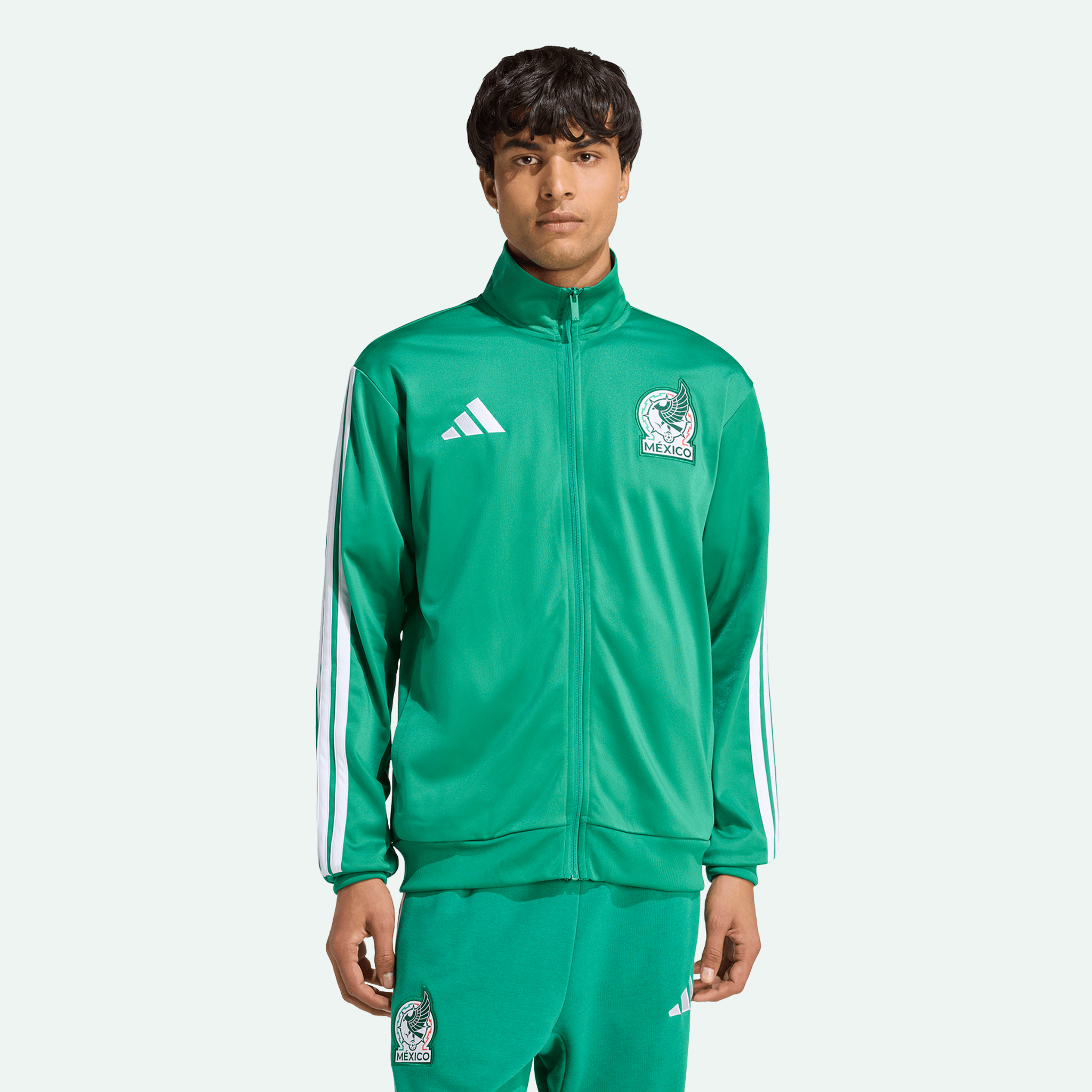 Mexico DNA Track Top