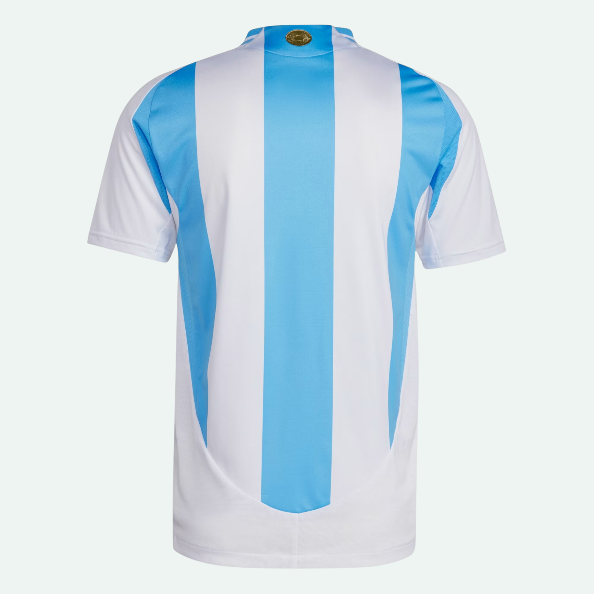 Argentina 24 Home Authentic Jersey