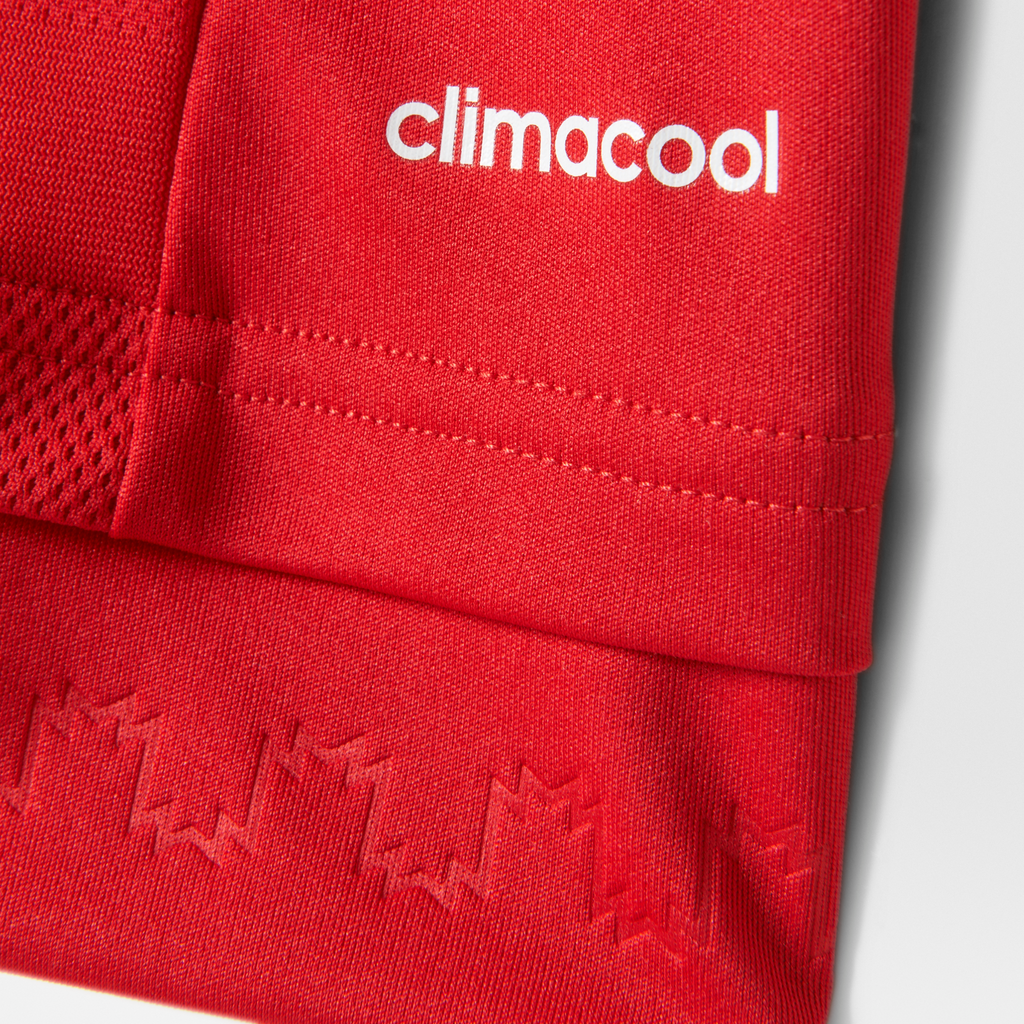 Manchester United 15/16 Home Jersey