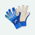 Future Pro Hybrid Goalkeeper Glove
