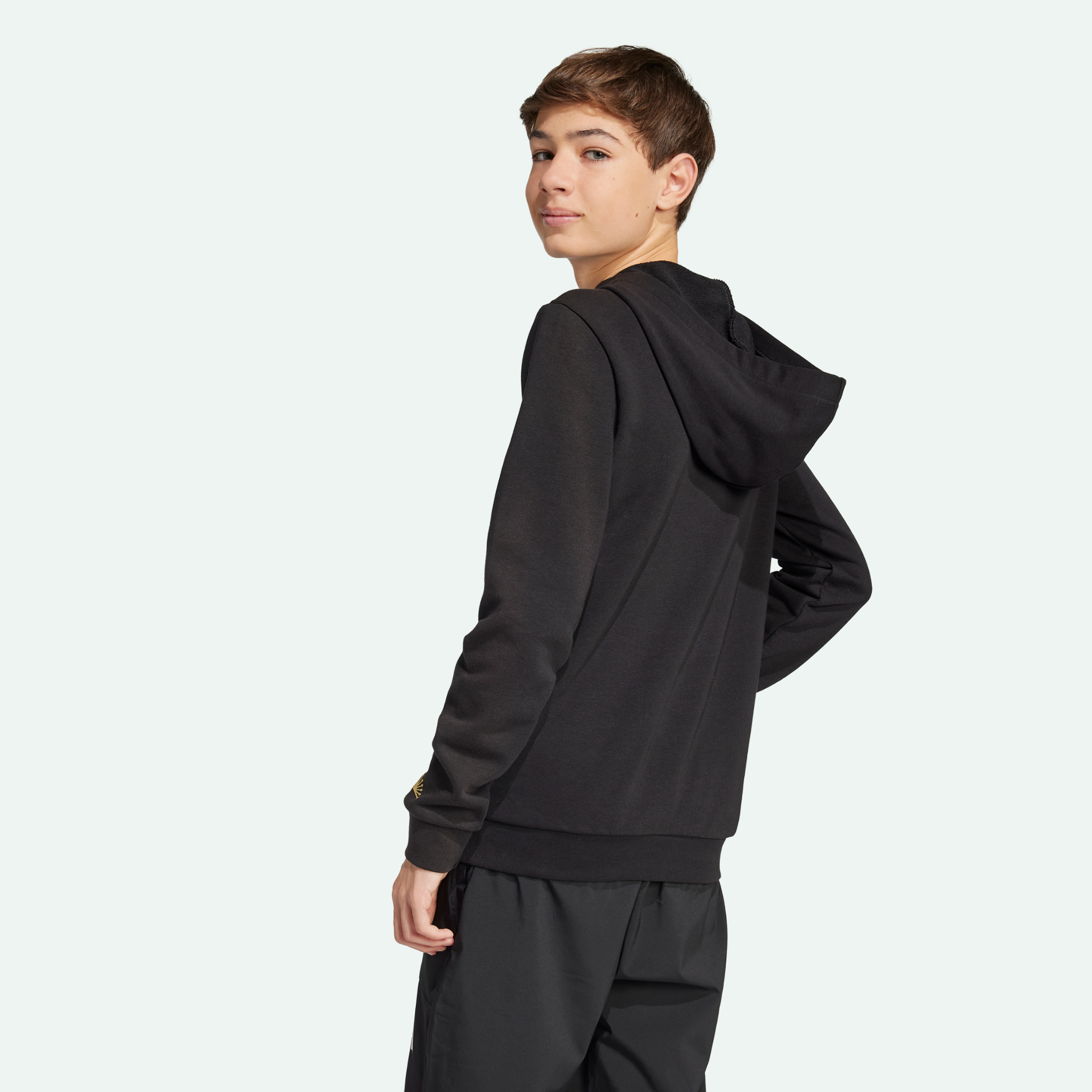 Mexico Gold DNA Kids Hoodie