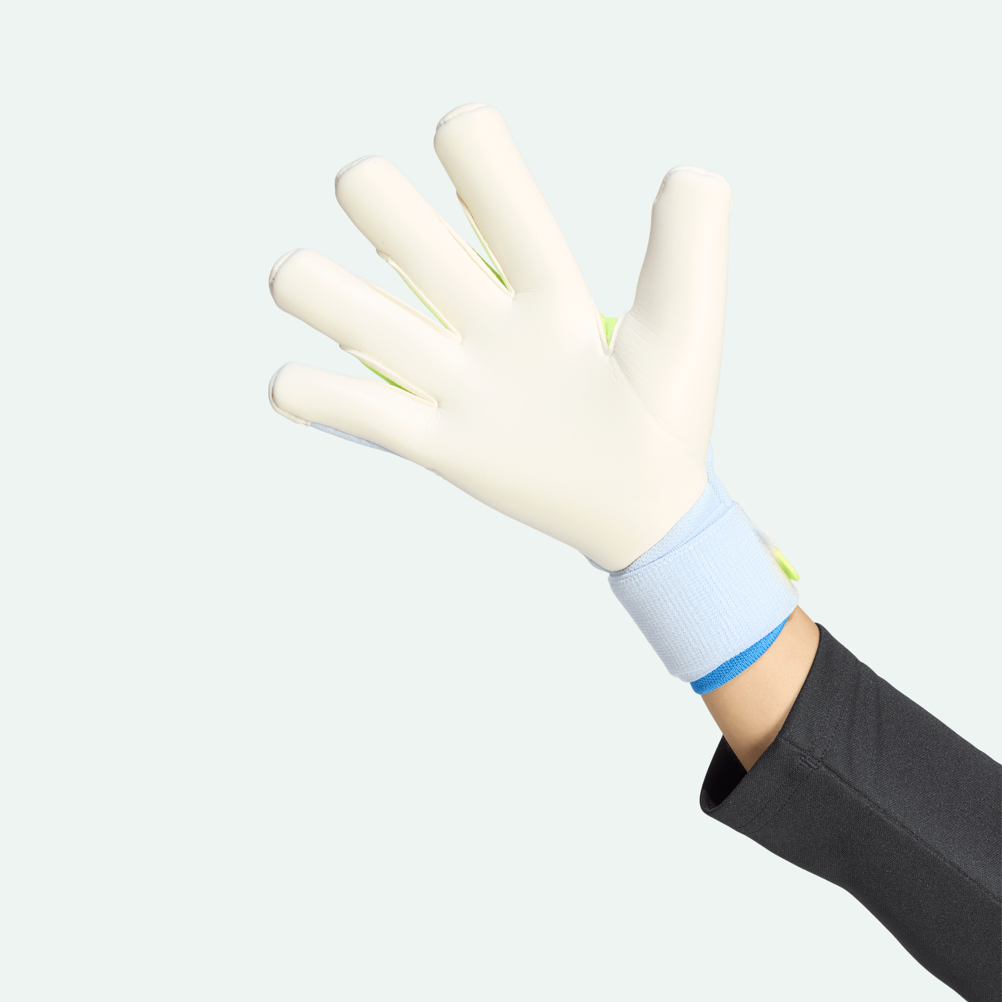 Predator Goalkeeper Glove Pro (Hybrid Strap)