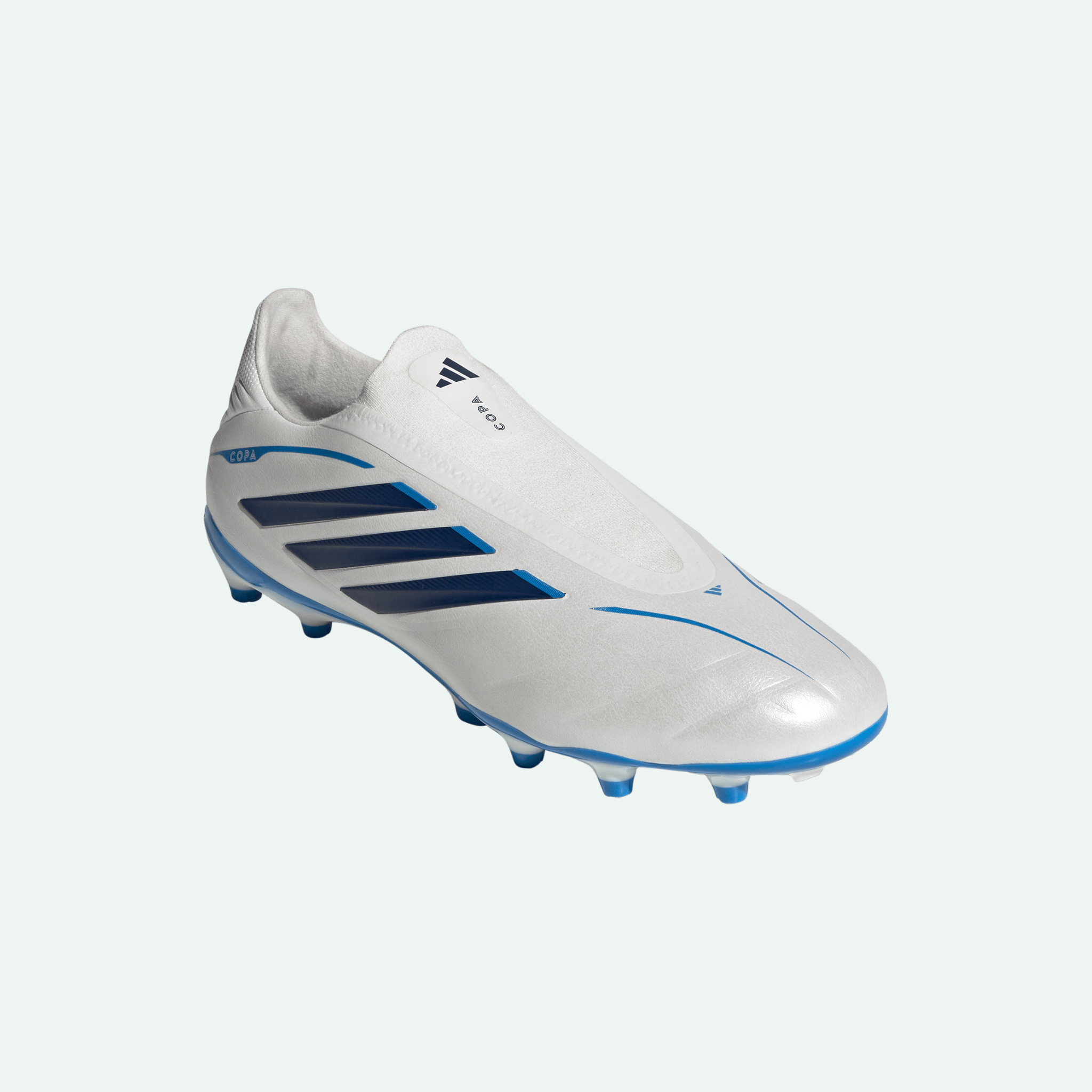Copa Pure IV League LL FG