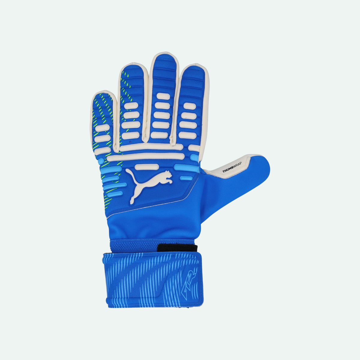 Future Match NC Goalkeeper Glove