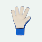 Future Pro Hybrid Goalkeeper Glove