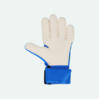 Future Match NC Goalkeeper Glove