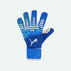 Future Pro Hybrid Goalkeeper Glove