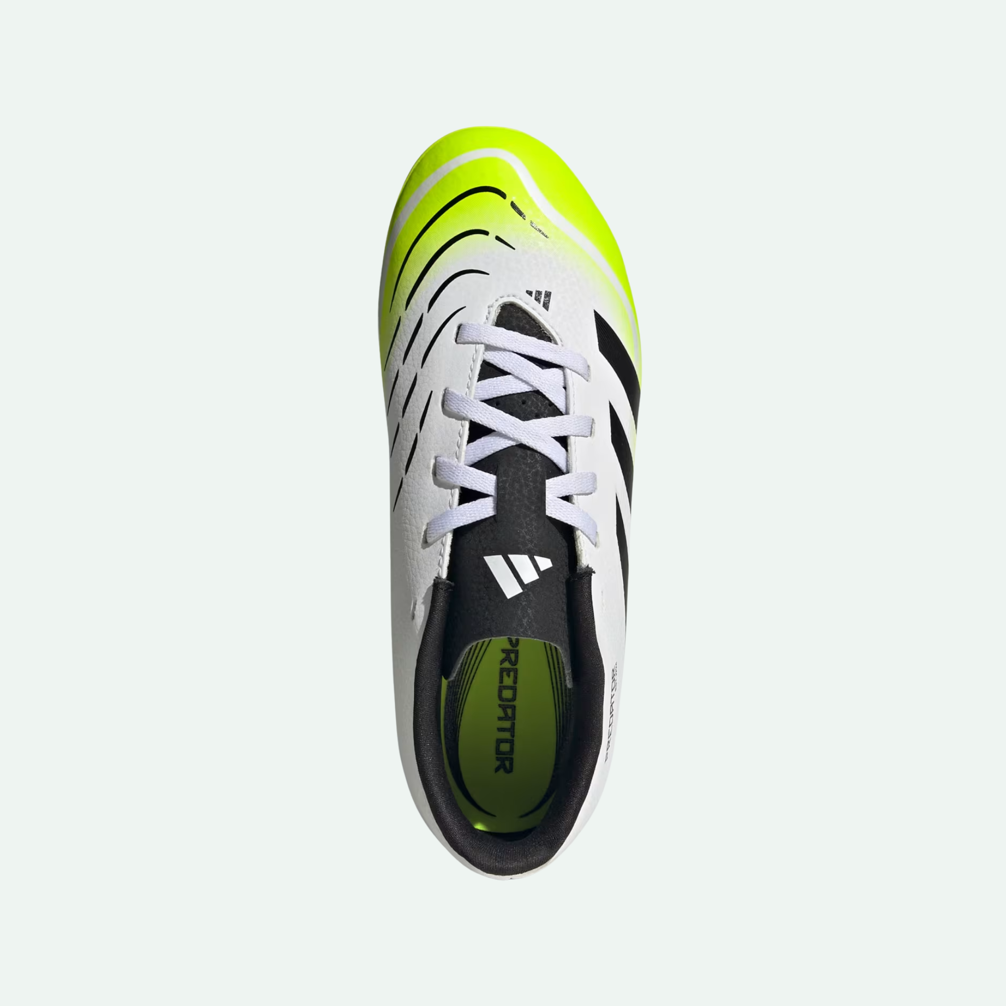 Predator Club FG/MG (Kids)