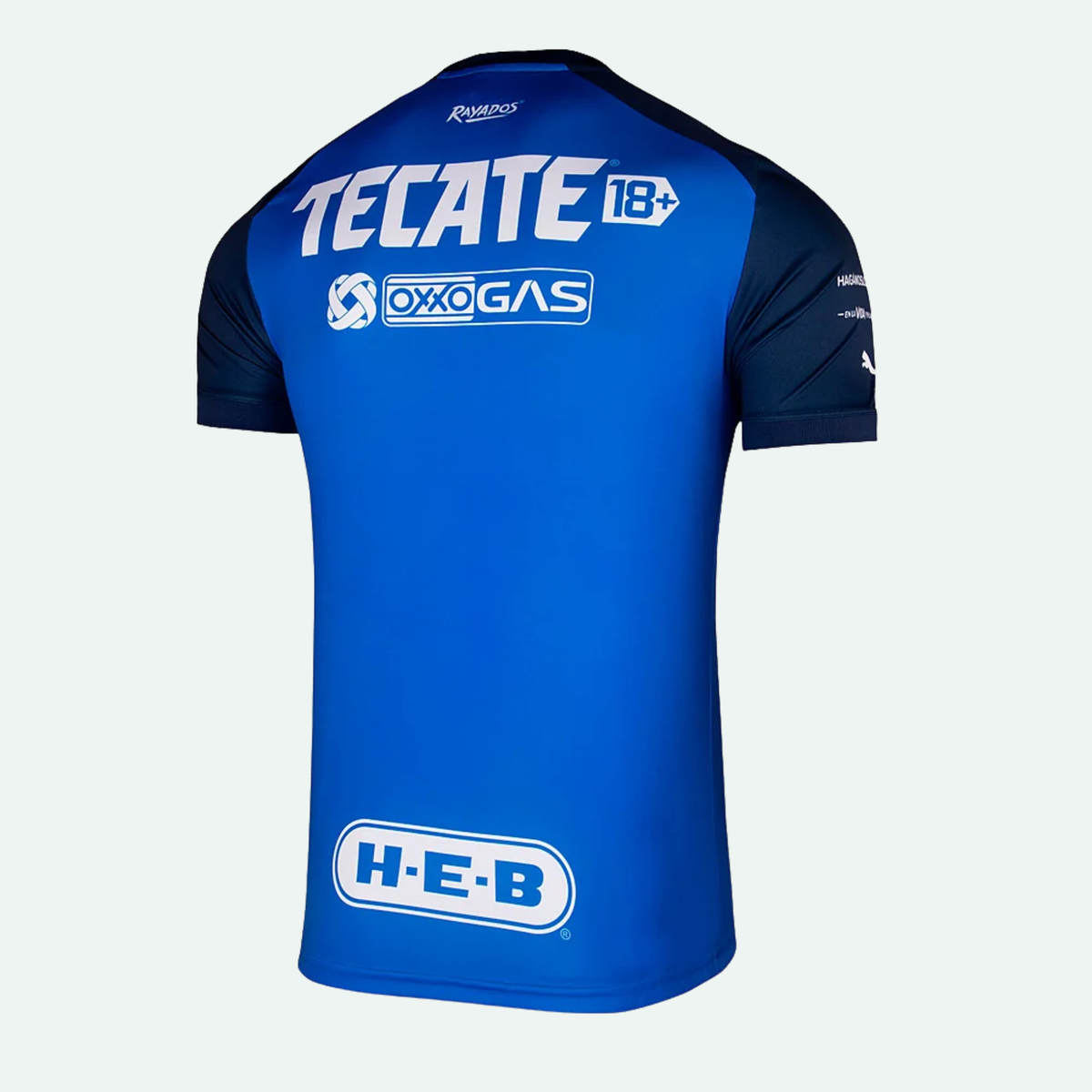 C.F. Monterrey 22/23 Away Jersey