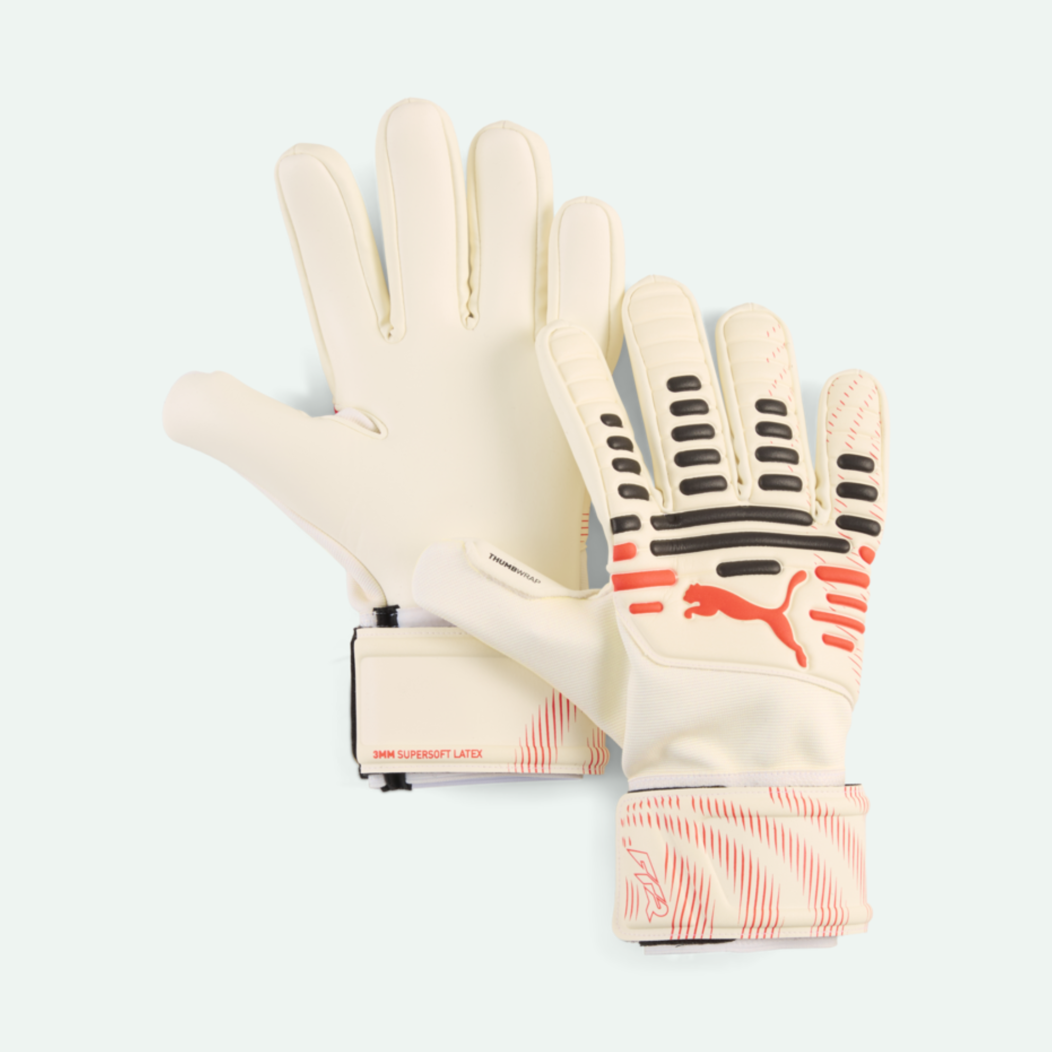 Future Match NC Goalkeeper Glove (Kids)