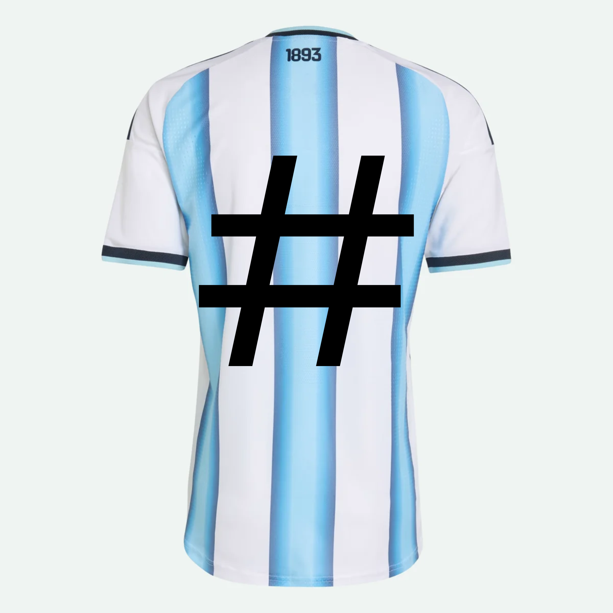 Argentina 26 World Cup Name Set - HOME