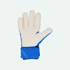 Future Match NC Goalkeeper Glove